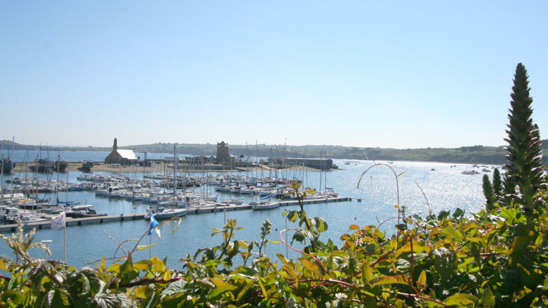 Un Moment de Douceur